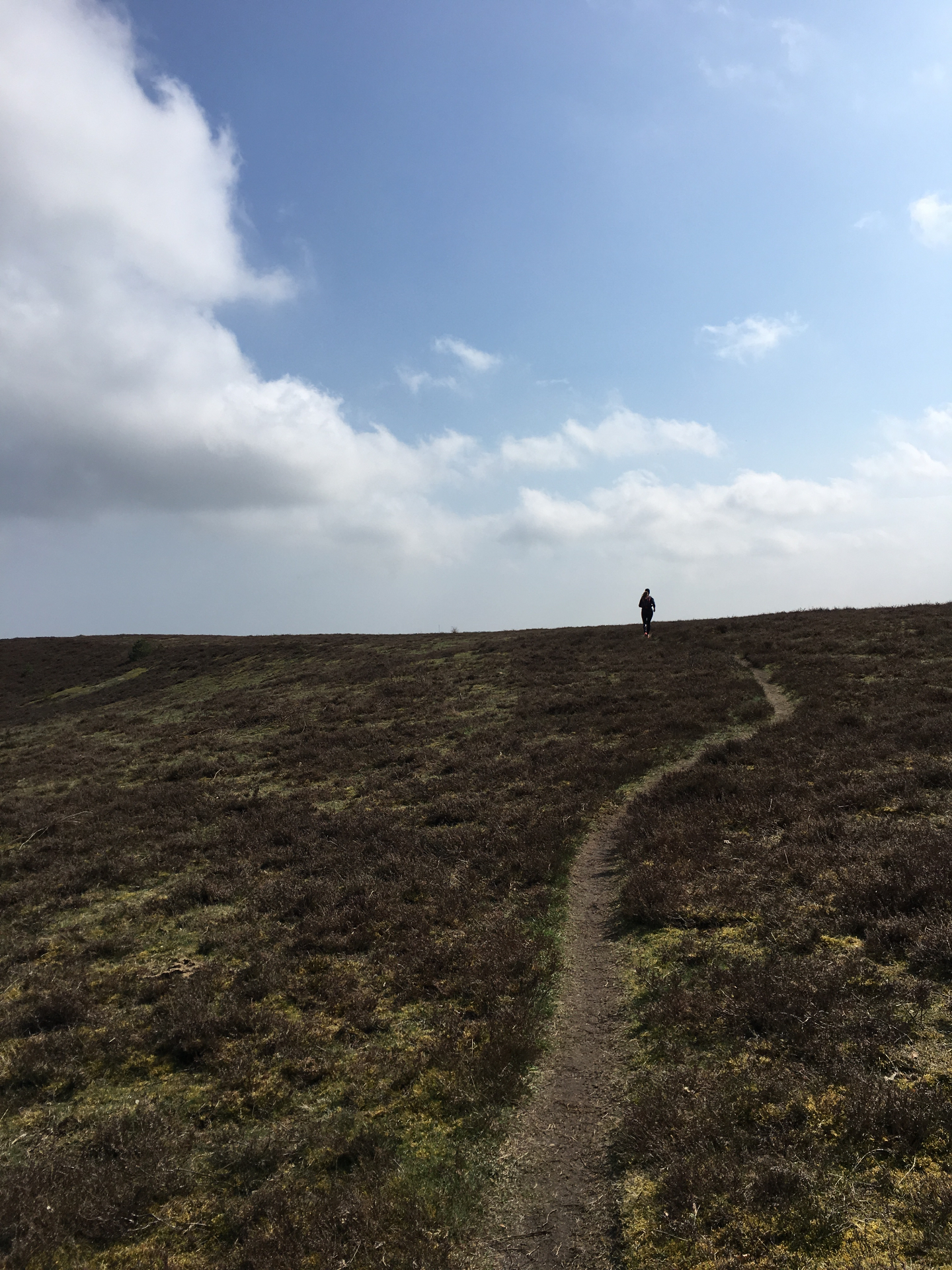 A lone figure heading toward the horizon on a trail